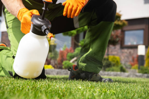 Best Commercial Pest Control Services  in Harveys Lake, PA