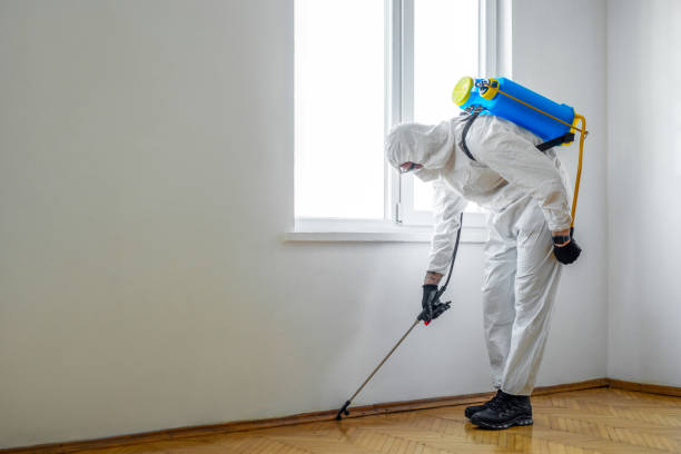 Best Best Pest Control Companies  in Harveys Lake, PA