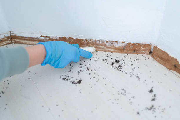 Pest Control Cost in Harveys Lake, PA