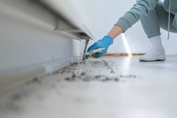 Best Exterminator Services  in Harveys Lake, PA