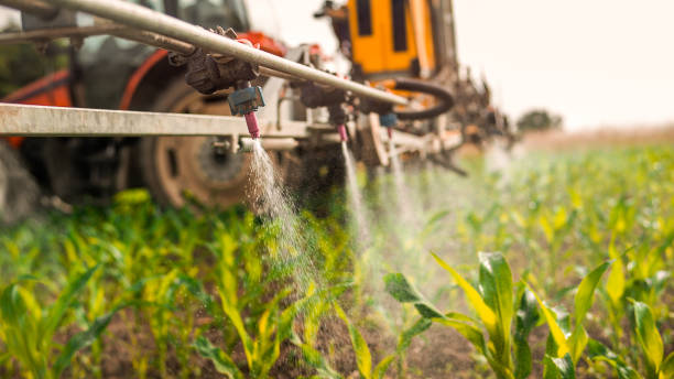 Best Ant Control Services  in Harveys Lake, PA