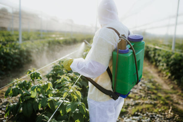 Best Affordable Pest Control Services  in Harveys Lake, PA